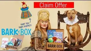 A monthly box of dog goodies - BarkBox