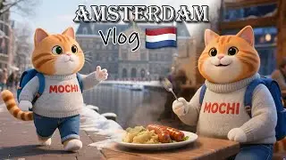 Traveling Cat Mochi in Amsterdam | One Day Exploring Winter Canals, Caf&eacute;s & City Life