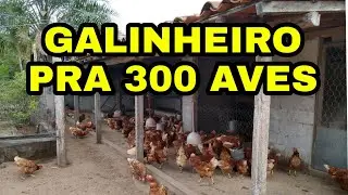 GALINHEIRO PRA 300 AVES | MEDIDAS C&Ocirc;MODO |  COMO FAZER | PATHY VIDA NA RO&Ccedil;A: