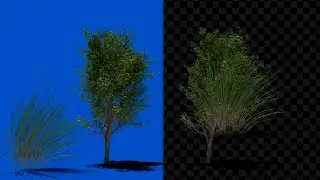 Plants Green Screen Animated | Tree Green Screen Footage