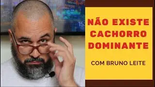 DOMINANCIA: O Mito do Cachorro Dominante