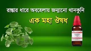 থানকুনি পাতার অবিশ্বাস্য সব উপকারিতা ও হোমিওপ্যাথি চিকিৎসা | Hydrocotyle Asiatica