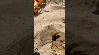 Crazy life hacks on sea beach #sand #beach #sea # injury