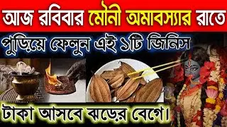 আজ মৌনী অমাবস্যার রাতে ঘুমানোর আগে বালিশের তলায় রেখে দিন এটি, রাতারাতি ধনী হয়ে যাবেন?