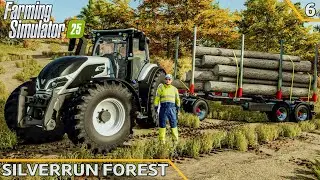 Buying new forestry equipment - VALTRA & timber trailer | Silverrun Forest | Ep.6