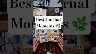 ✨ My Favorite Journal Moments | Cozy & Aesthetic Compilation #CozyJournaling