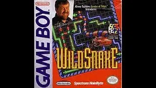 Wildsnake [GB] - Real Time Longplay (No death)
