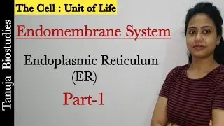 Cell : The Unit of Life - Endomembrane System Part-1 |Endoplasmic Reticulum (ER) | Class 11 Biology