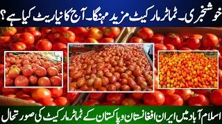 Tomato Price Update in Pakistan Today | Islamabad Market Rates | Afghan & Iranian Tomatoes