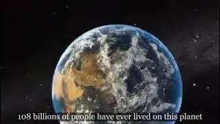 SAVE OUR PLANET/SAVE ANIMALS/SAVE HUMANITY/BORN2BEWILD