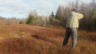 .22 sonic boom exploding targets