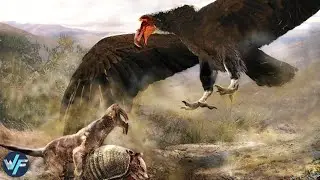 10 Most Powerful Birds That Ever Lived
