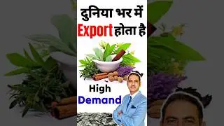 ayurvedic products export from india I ayurvedic products business #export #ayurvedic #shorts