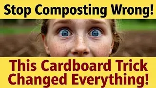 Cardboard Soil Hack: The No-Dig Shortcut That Beat My Compost in 30 Days!