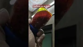 Saffron In Action!