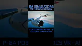 P-8A - DCS VR - AI MOD EXTERNAL VIEWS NAVY  ESCORT
