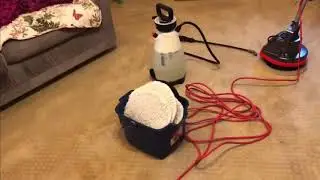 So You Want To Start A Carpet Cleaning Business