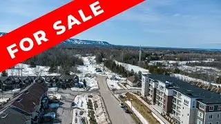 New Collingwood Listing - 17 Spooner Cres. Collingwood, Ontario