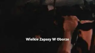Sobotnie Obowiązki Czyli Wielkie Zapasy W Oborze [ Zetor 5340 , ursus c360 ]
