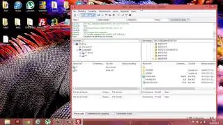 [TUTORIAL ITA] come usare Filezilla e multiMAN per copiare file EBOOT da pc a PS3
