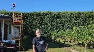 Laser Bird Deterrent protecting a vineyard