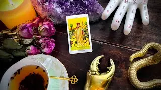 The Nine of Pentacles