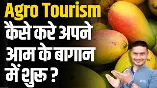 How to Start Agro Tourism in Mango Farm ?