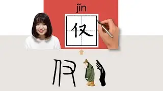 【NEW HSK4】/仅/僅/jin_(only, merely, alone)How to Pronounce & Write Chinese Word & Character #newhsk3