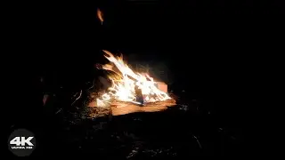 🌙 4K Campfire at Night in a Dark Forest | 3 Hours of Soft Fire Ambience (No AI)