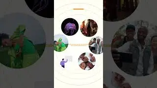 CXS | Expert Video Editing