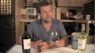 (#153) A Couple of Argentine Wines . . .