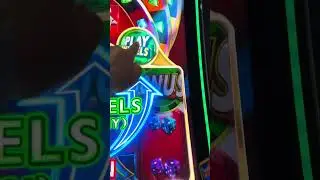 All In Bonus! #casino #slots #bonus #fypシ #gambling #slotwinners #slotbonus #casinoslots #fyp