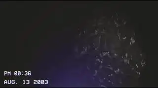 Godzilla found footage: [Aug 13 2003]