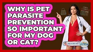 Why Is Pet Parasite Prevention So Important For My Dog Or Cat? - Ask A Pet Vet