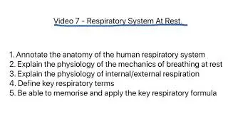 OCR A Level PE - Respiratory System At Rest