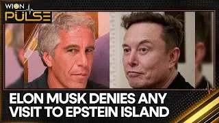 Elon Musk Claims He Declined Island and 'Lolita Express' Invitations | WION Pulse