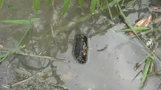 Mook en de Maas 16 juli 2021