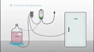INKBIRD ITC-308 Heating and Cooling Dual Relay Temperature Controller,