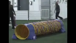 Scout, 4th Trial,  1st run, 2-16-19