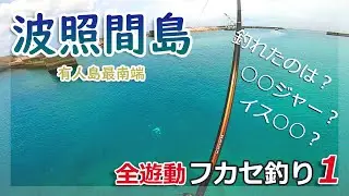 波照間フカセ釣り【ウキ00号を沈めて食ってきた魚とは】【沖縄釣り】#002