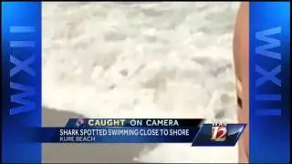 Caught on Camera: Shark spotted near Kure Beach shore