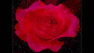 Amour Toi qui bannit la peur
