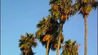 two late summer days