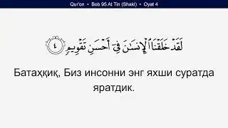 Quran 95 Surah At Tin Shakl Uzbek