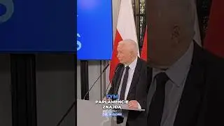 Wyborcza Pułapka: Braun, Bezpieczeństwo Polski i Kłamstwa Moskwy #shorts