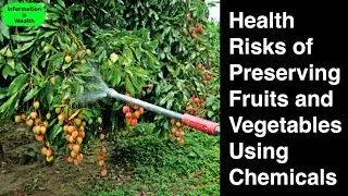 Potential Health Risks of Preserving Fruits and Vegetables Using Chemicals