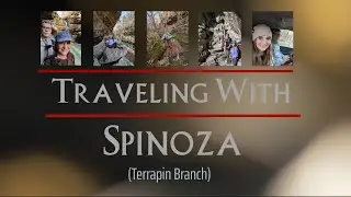 Terrapin Branch