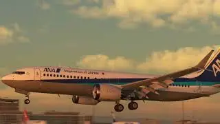 Greasing the Bredok3D 737 Max, most realistic aircraft in the game!
