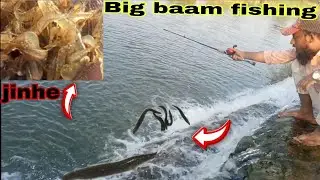 Big eel fish catching videos | baam fish food #baamfishing #baamfishes #baamcatching 