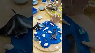 🪸Ocean-themed Small World🪸